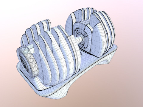 Adjustable weight Model 3D