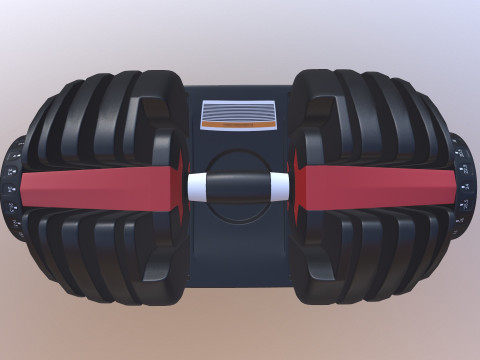 Adjustable weight Model 3D