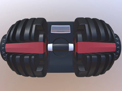 Adjustable weight 3D Model