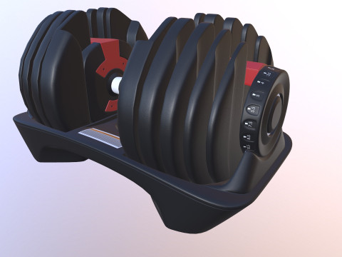 Adjustable weight Model 3D