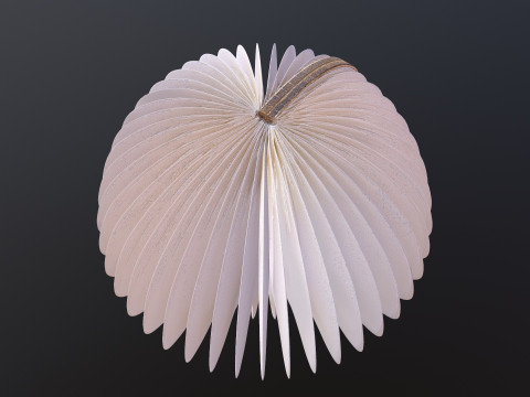 Mushroom lamp Modèle 3D