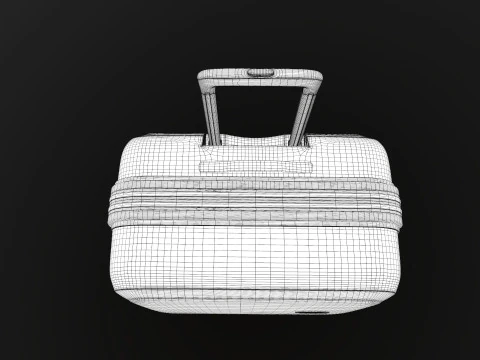 American bag 3D Model