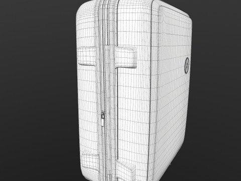 American bag Modello 3D