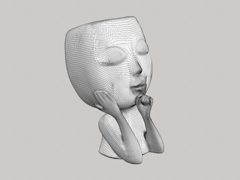 Face Head Planter Model 3D