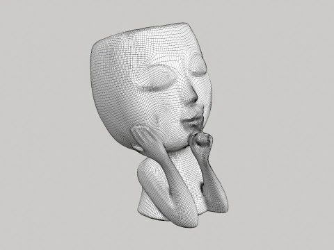 Face Head Planter 3D Model