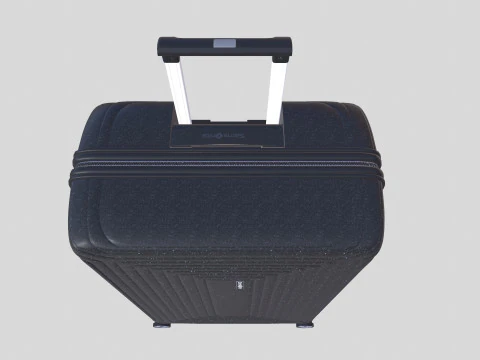 TrolleyBag 3D Model