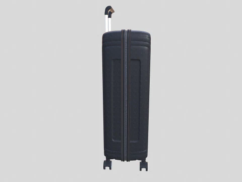 TrolleyBag 3D Model