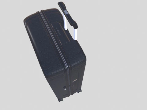 TrolleyBag 3D Model
