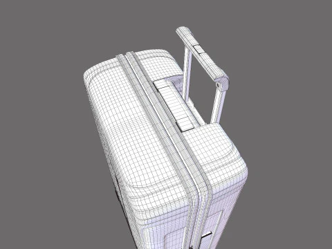 TrolleyBag 3D Model