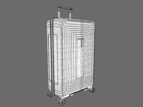 TrolleyBag 3D Model