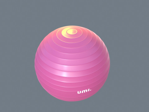 Gym Ball Model 3D