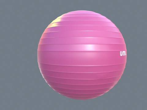 Gym Ball 3D Modell