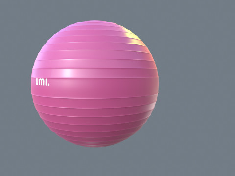 Gym Ball 3D Modell