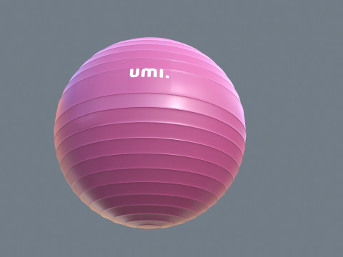 Gym Ball 3D Modell