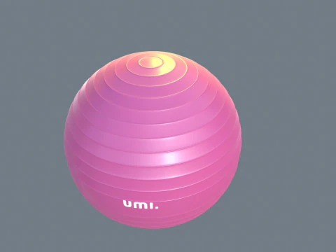 Gym Ball 3D Model