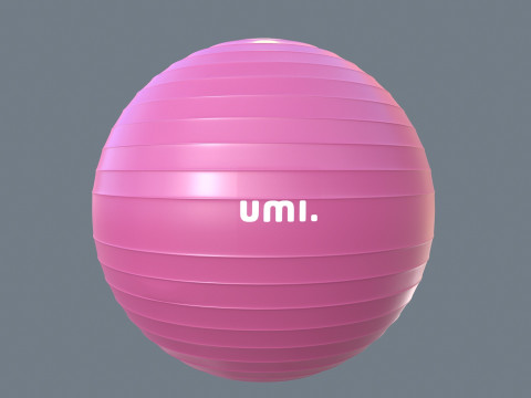Gym Ball 3D Modell