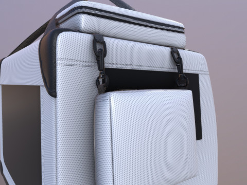 Foldable Dog Box 3D Model
