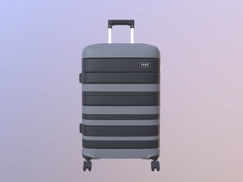 수하물 가방 3D 모델