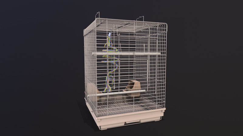 Bird Cage 3D Model .c4d .max .obj .3ds .fbx .stl .blend
