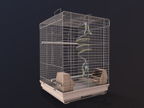 Bird Cage 3D Model
