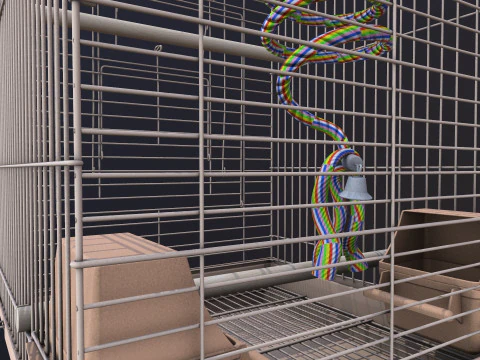 Bird Cage 3D Model