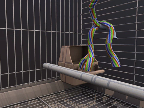 Bird Cage 3D Model