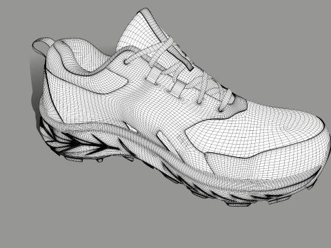 ASICS Shoe 3D Model
