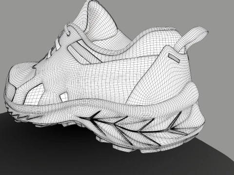 ASICS Shoe 3D Model