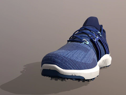 HYPER FLEX Shoe 3D Model