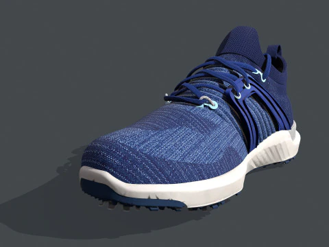 HYPER FLEX Shoe 3D Model