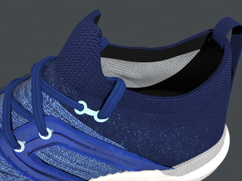 HYPER FLEX Shoe 3D Model