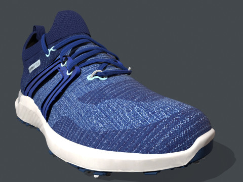 Sapato HIPER FLEX Modelo 3D