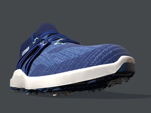 HYPER FLEX Shoe 3D Model