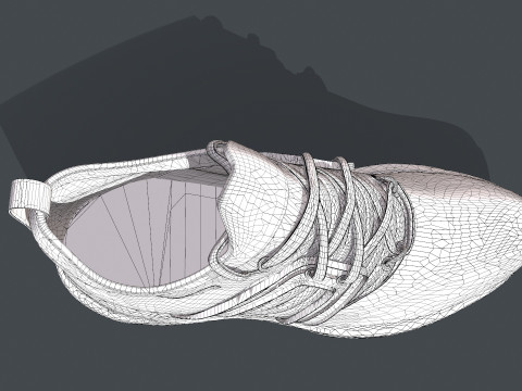 Sapato HIPER FLEX Modelo 3D