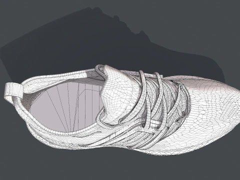 HYPER FLEX Shoe 3D Model