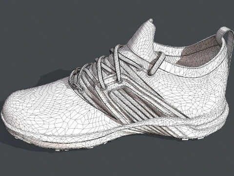 HYPER FLEX Shoe 3D Model