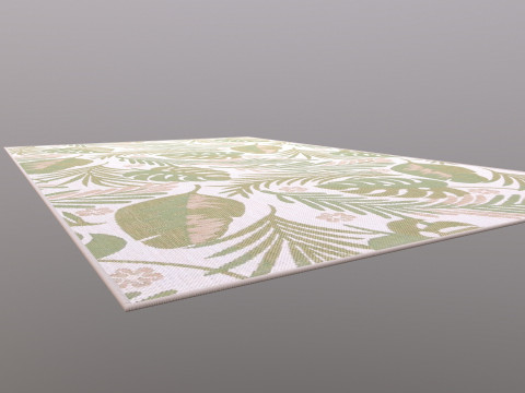 Accent Rug 3D Model