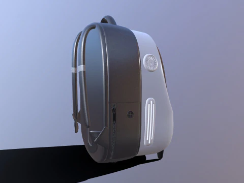 PET KIT Bag 3D Model