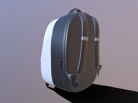 PET KIT Bag 3D Model