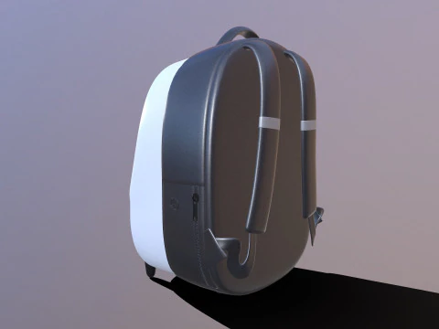 PET KIT Bag 3D Model