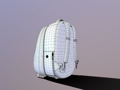 PET KIT Bag 3D Model