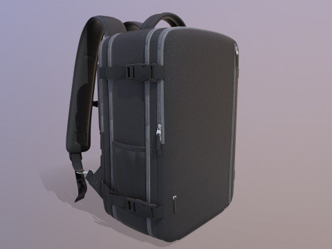 Travel Bag 3D Model