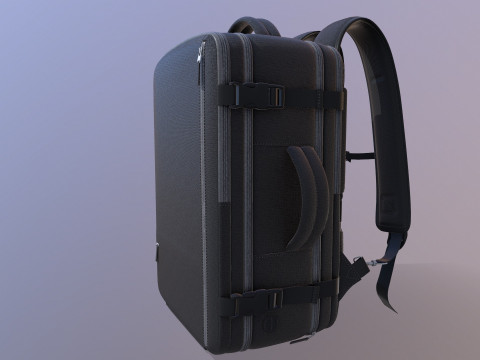 Travel Bag 3D Model