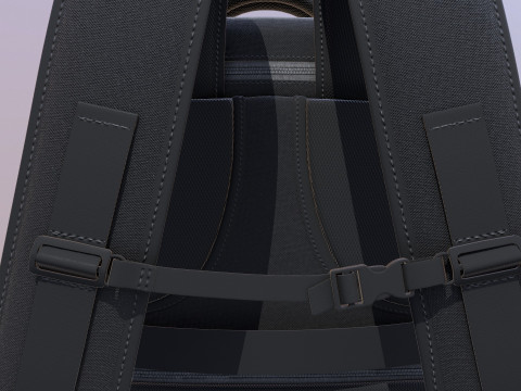 Travel Bag 3D Model