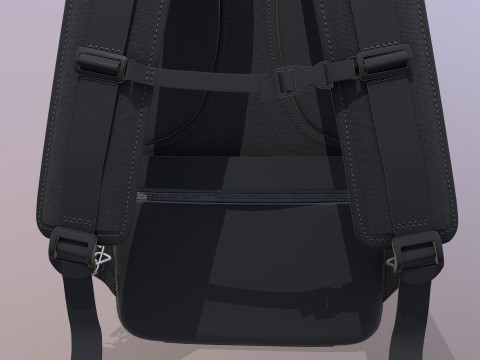 Travel Bag 3D Model