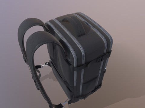 Travel Bag 3D Model