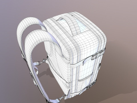 Travel Bag 3D Model