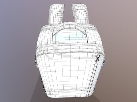 Travel Bag 3D Model