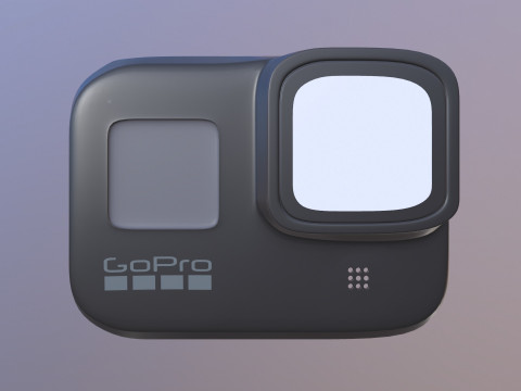 Przejdź na zawodowstwo Model 3D