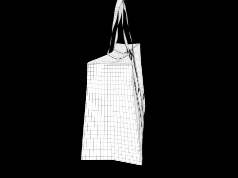 Poster Board Storage Bag 3D Model